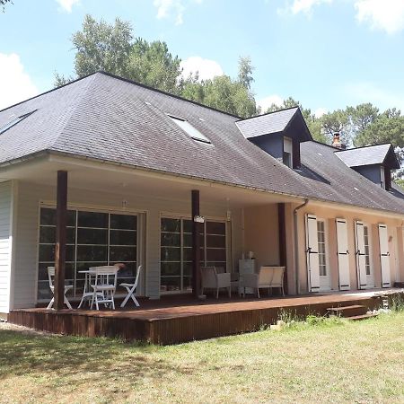B&B La Forêt de Charmeuse Ruaudin Extérieur photo