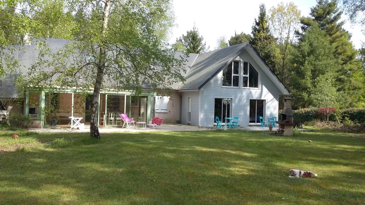 B&B La Forêt de Charmeuse Ruaudin Extérieur photo