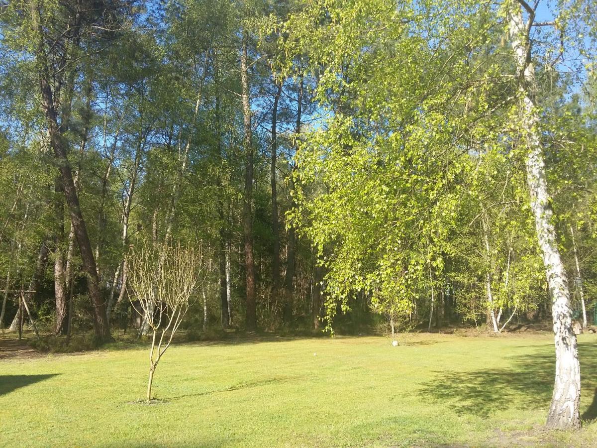 B&B La Forêt de Charmeuse Ruaudin Extérieur photo